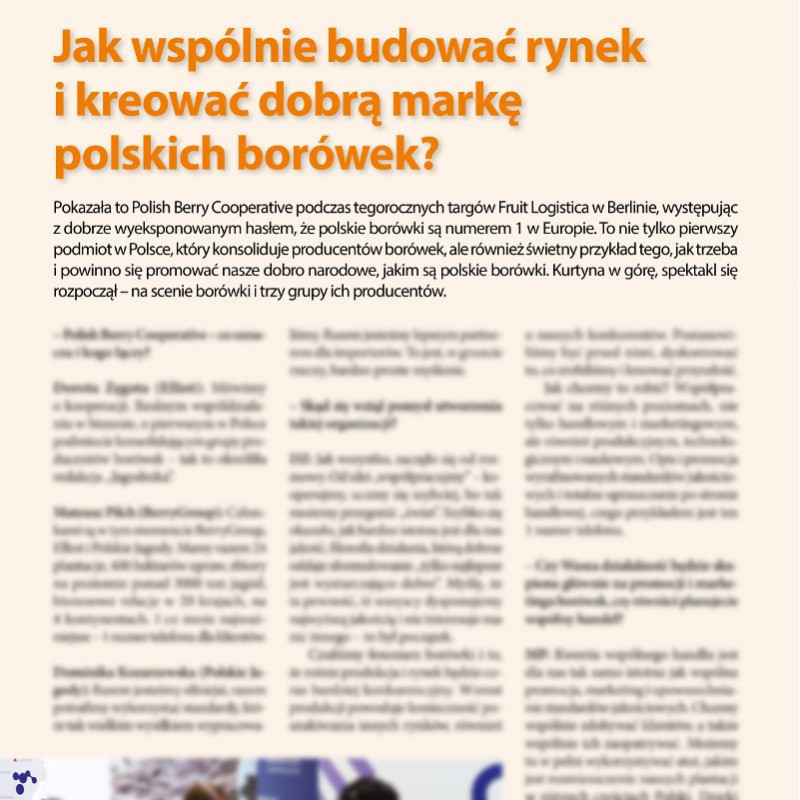Jak wspólnie budować rynek i kreować dobrą markę polskich borówek?