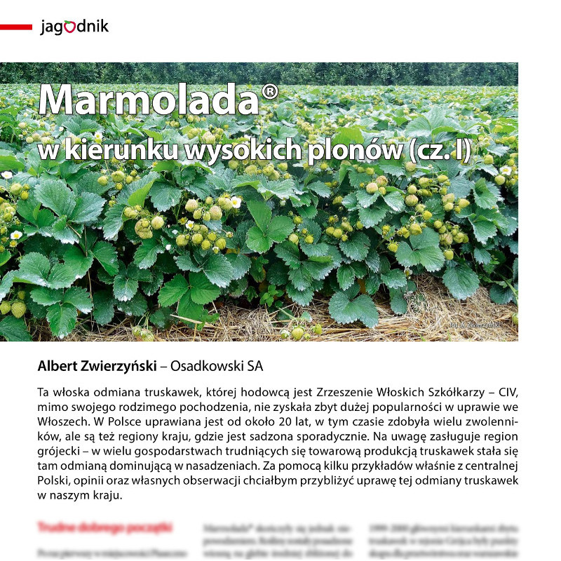 Marmolada® w kierunku wysokich plonów (cz. I)