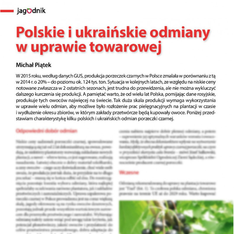 Polskie i ukraińskie odmiany w uprawie towarowej