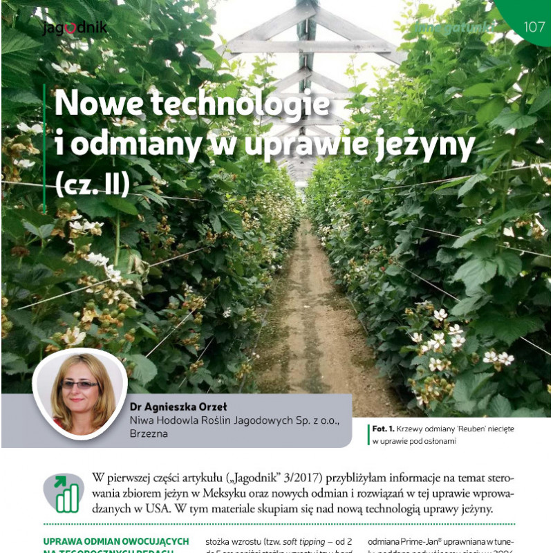 Nowe technologie i odmiany w uprawie jeżyny (cz. II)