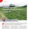 Koszty i opłacalność produkcji owoców jagodowych w 2016 roku (cz. I) – truskawki