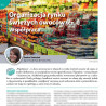 Organizacja rynku świeżych owoców (cz. I) – Współpraca