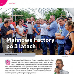 Malinowe Factory po 3 latach