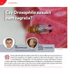 Czy Drosophila suzukii nam zagraża?