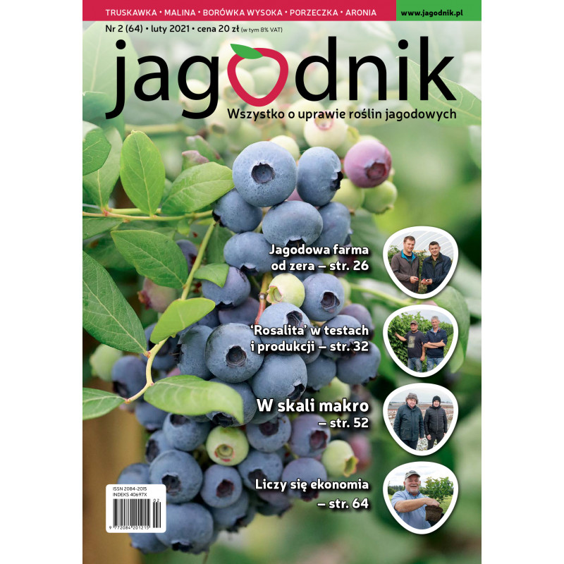 copy of Jagodnik 1/2021