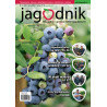 copy of Jagodnik 1/2021