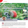 Pod osłonami – ochrona truskawek powtarzających owocowanie (cz. 1)