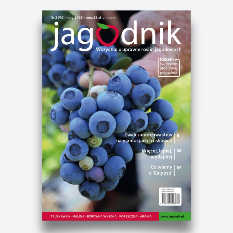 Jagodnik 2/2025