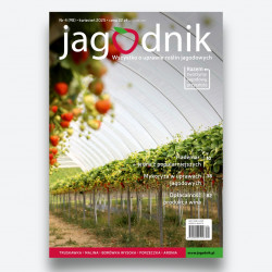Jagodnik 4/2025