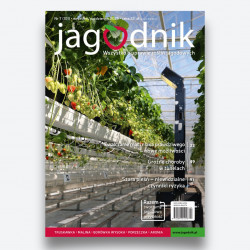 Jagodnik 7/2025