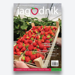 Jagodnik 8/2025