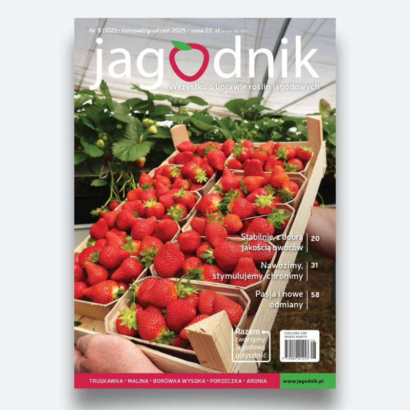 Jagodnik 8/2025