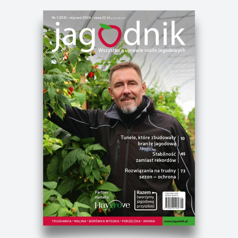 Jagodnik 1/2026