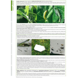 Poradnik Integrowanej Ochrony Roślin Jagodowych 2026