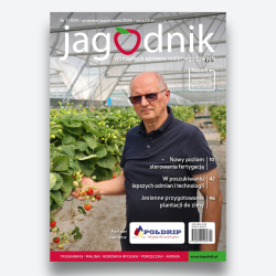 Jagodnik 7/2026