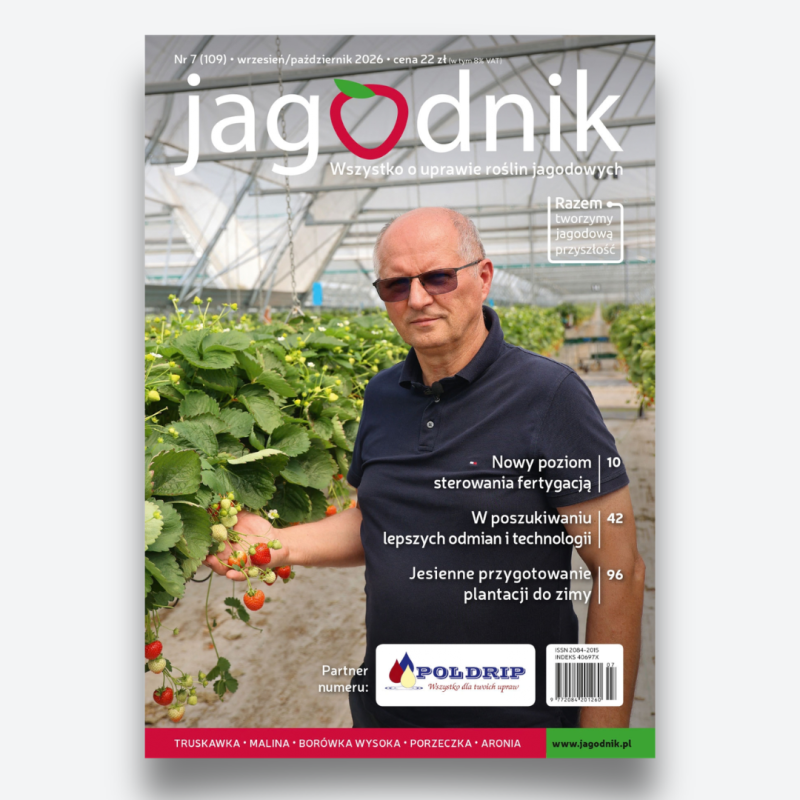 Jagodnik 7/2026