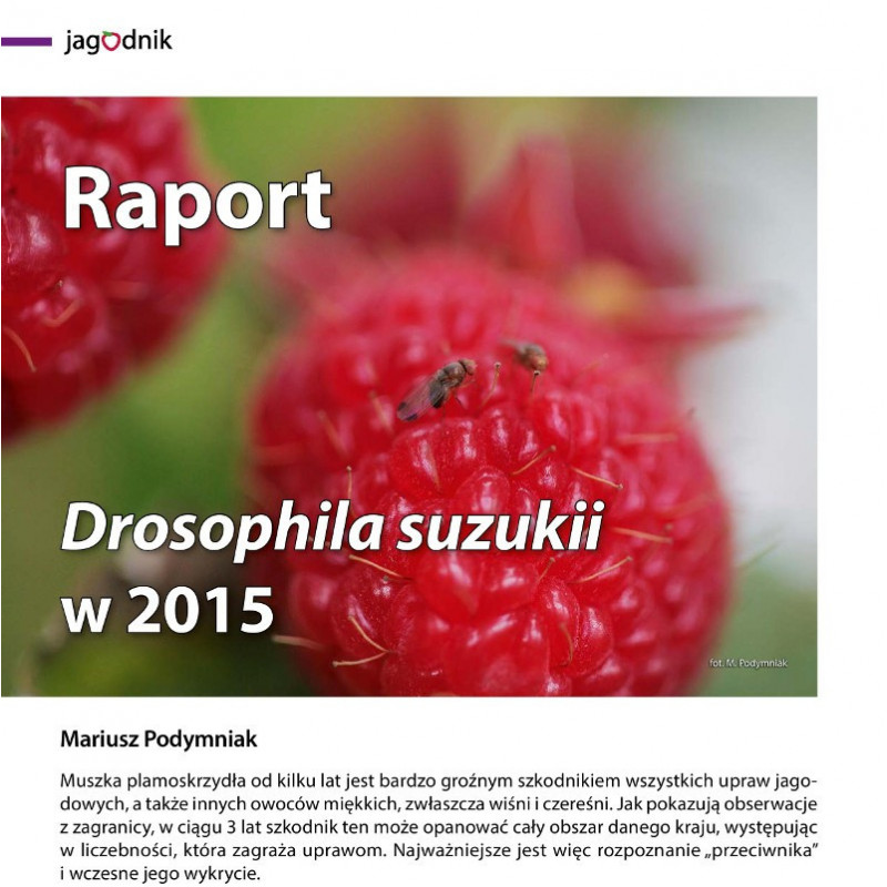 Raport. Drosophila suzukii w 2015